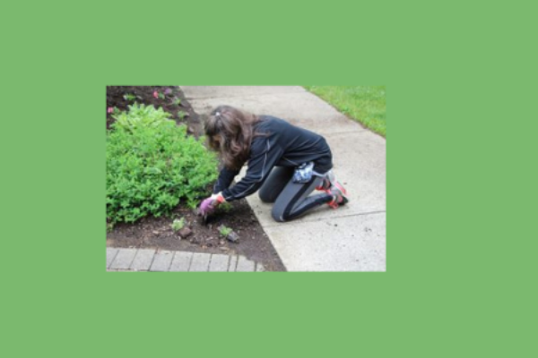 MARY’S PRAYER GARDEN PLANTING