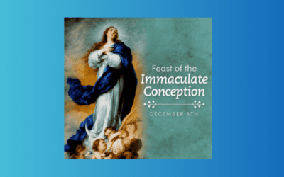 The Immaculate Conception of The Blessed Virgin Mary, Holy Day of Obligation Masses